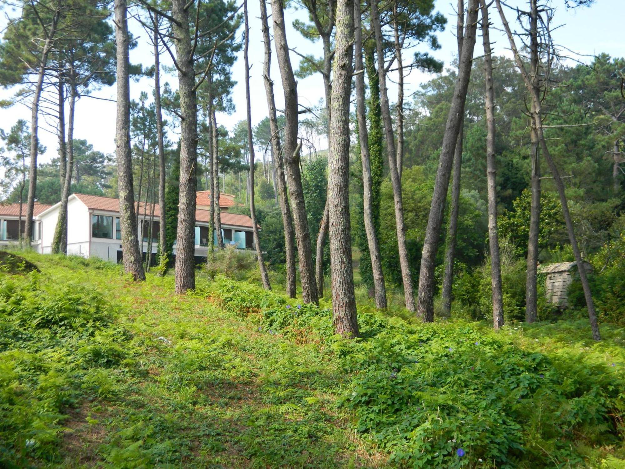 Hotel Alen Do Mar Finisterre Exteriör bild